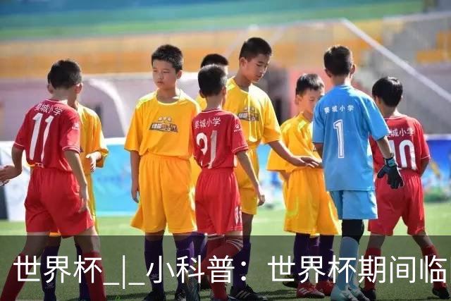 世界杯 | 小科普：世界杯期间临阵换帅，有先例吗？