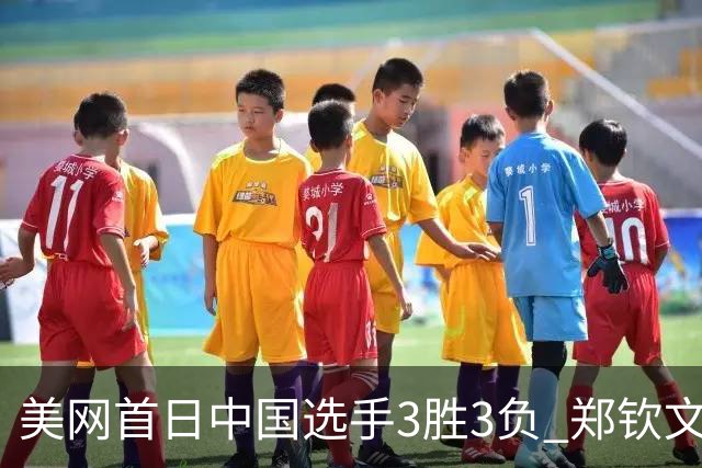 美网首日中国选手3胜3负 郑钦文商竣程成功进次轮