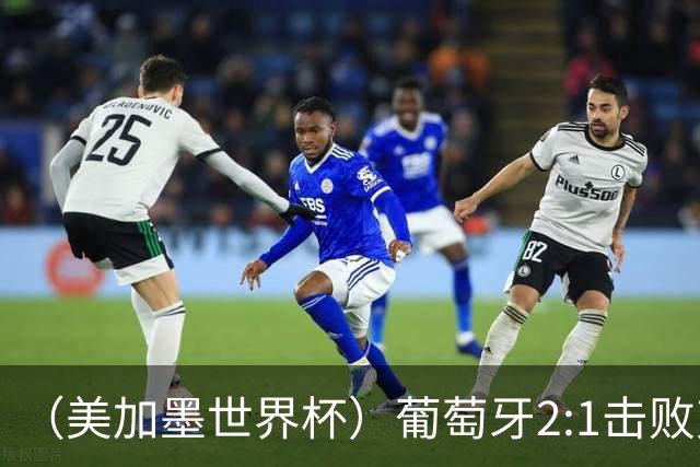 （美加墨世界杯）葡萄牙2:1击败克罗地亚 C罗获世界杯淘汰赛首球